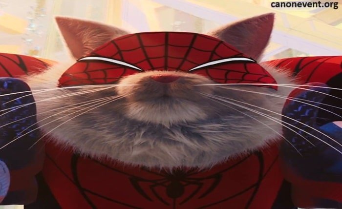 what is spider cat's canon event