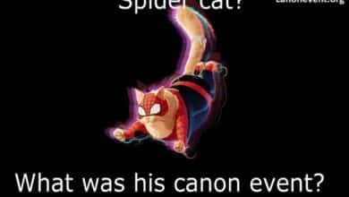 what was spider cat's canon event