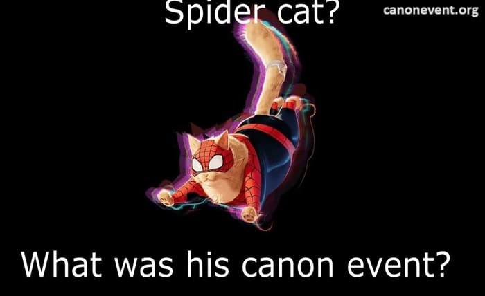 what was spider cat's canon event