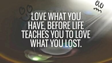 Love What You Have