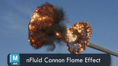 cannon effect