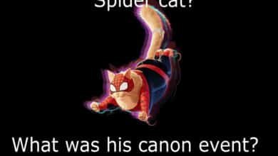 spider cat canon event