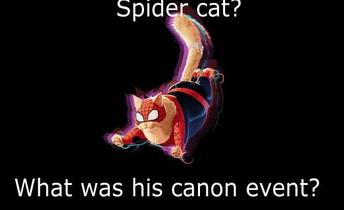 spider cat canon event