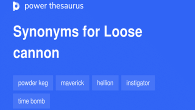 loose cannon synonym