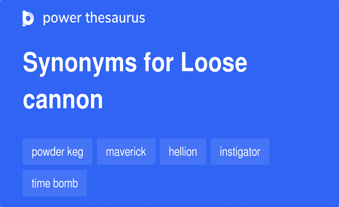 loose cannon synonym