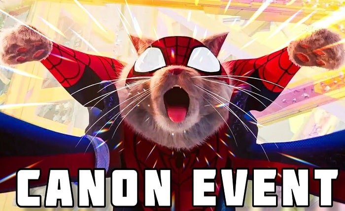 what is spider cats canon event